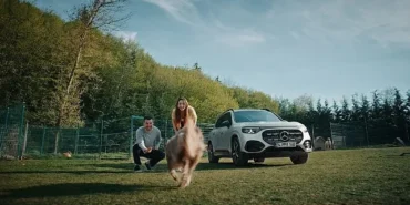 mercedes-benz-turkiye-ve-hacikodan-kopeklere-ozel-guvenli-yolculuk-filmi-ilk-yolculuk.jpg