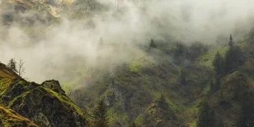 4-bolumden-olusan-vahsi-karpatlar-26-eylul-cumartesi-saat-20-00de-art-arda-tum-bolumleriyle-national-geographic-wild-ekranlarinda.jpg