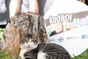 7-kadikoy-cizgi-festivali-basliyor.jpg