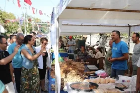 gokcealan-osmancik-uzum-senligi-renkli-etkinliklerle-kutlanacak.jpg