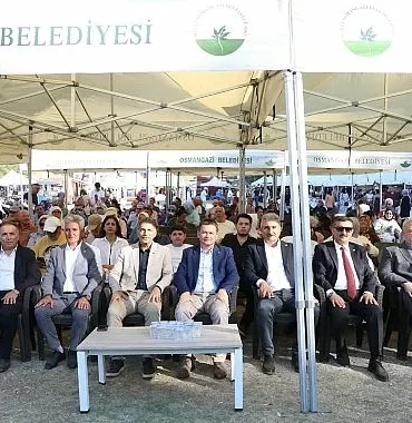 osmangazinin-siyah-inciri-festivalle-bulustu.jpg