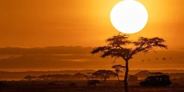 national-geographic-now-sec-izle-servisinin-ekim-ayi-temasi-afrika.jpg