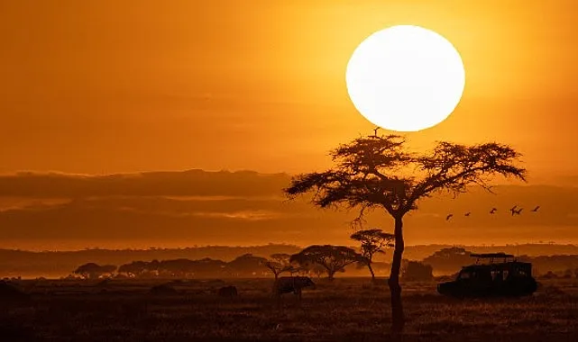 national-geographic-now-sec-izle-servisinin-ekim-ayi-temasi-afrika.jpg