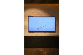 samsung-artweeks-istanbulda-sanati-ekran-teknolojileriyle-bulusturuyor.jpg